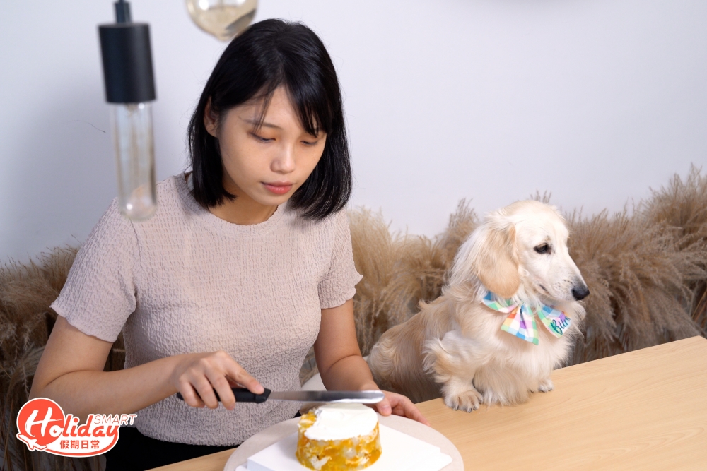 Cafe會不定期舉辦寵物蛋糕工作坊