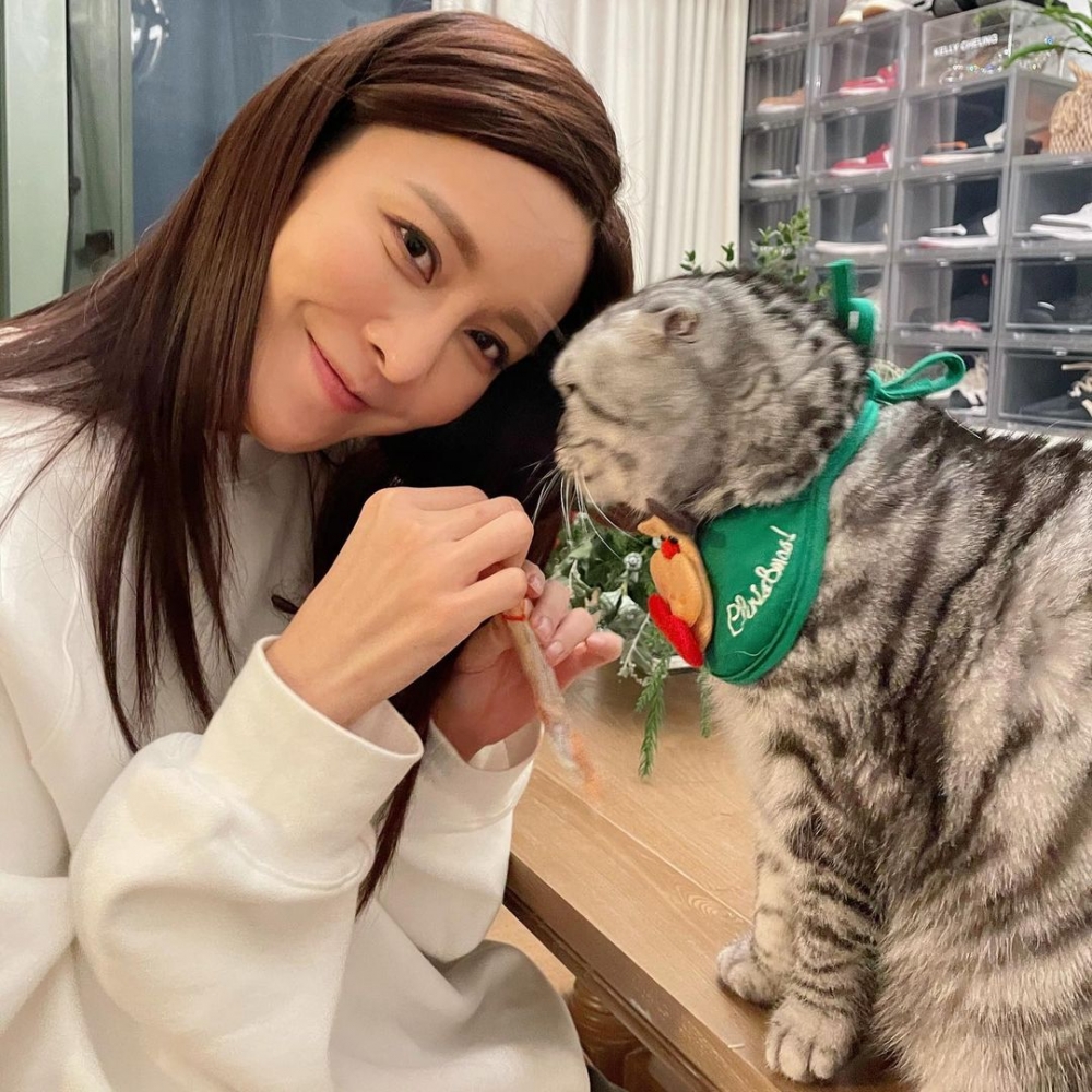 屋內有透明鞋櫃裝咗好多唔同嘅波鞋