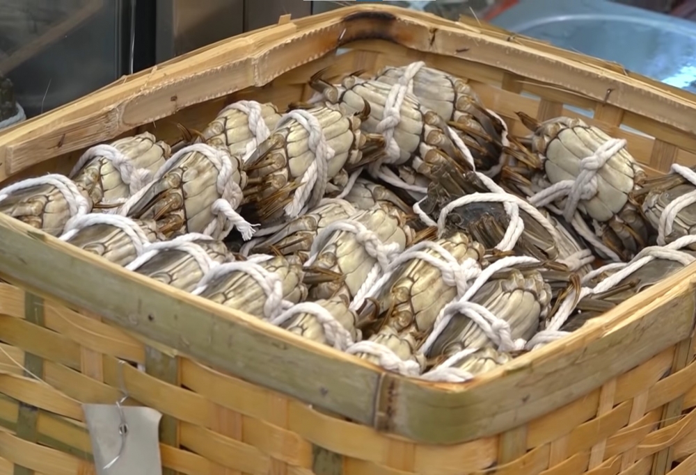 大閘蟹當造季節為西曆10月至12月中。