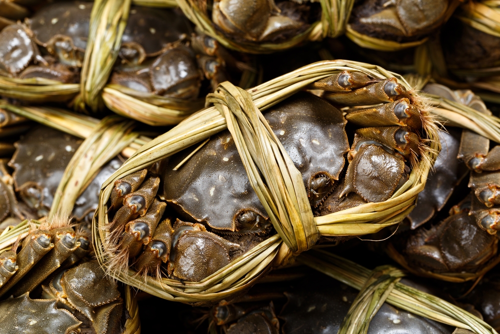 市面上有不同來源嘅大閘蟹