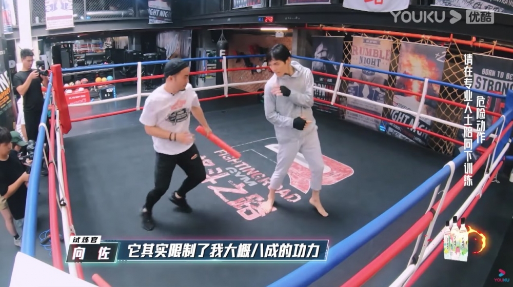 向佐指功夫同打拳嘅分別會限制佢8成功力。