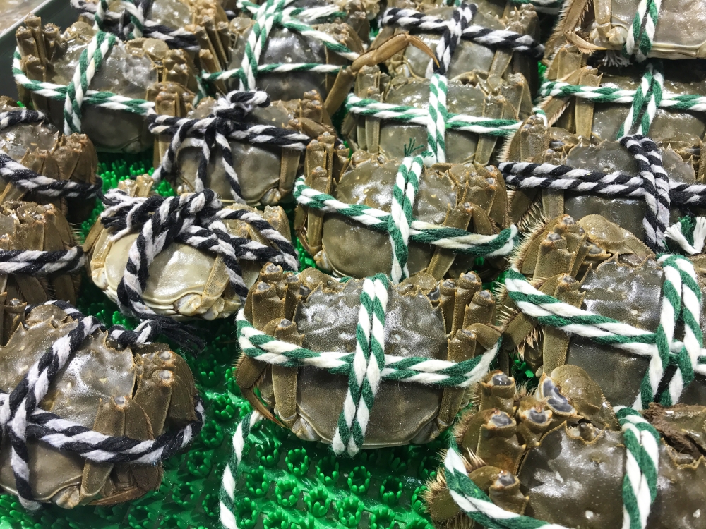 大閘蟹嘅重量由大約3両起