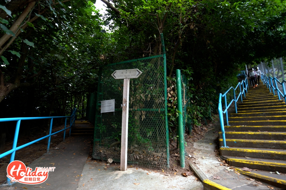 路牌指示兩邊都可通往「龍躍徑」,所以隨心選擇其中一邊便可,途中會經過浪韻樂園休憩處,一直沿著斜路向上行便可。