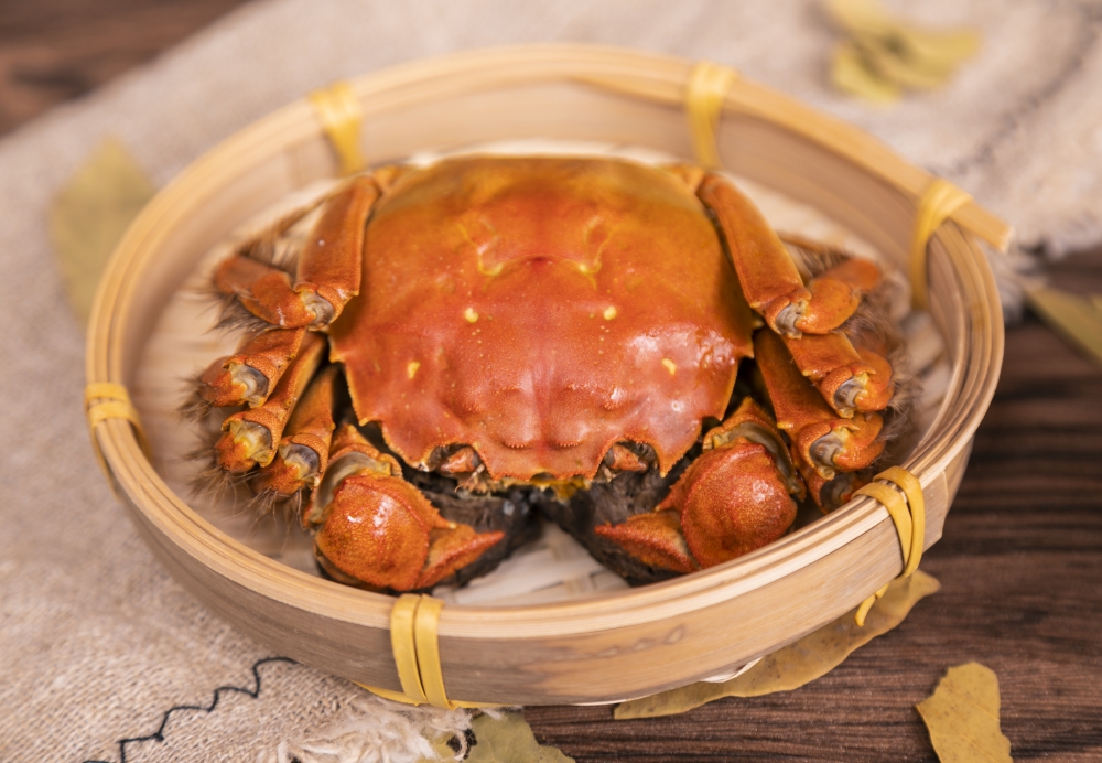 蒸熟咗嘅大閘蟹呈橙紅色