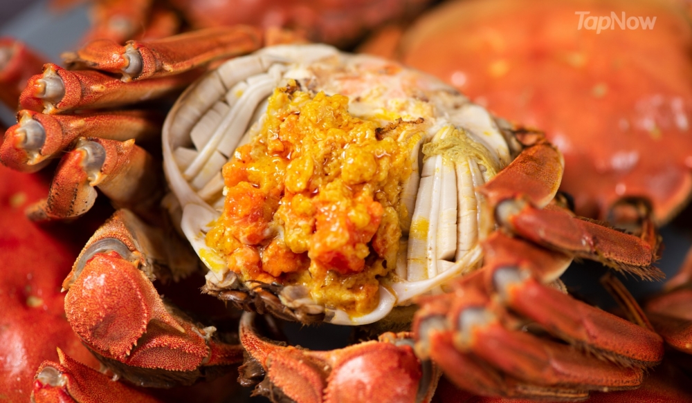 各位大閘蟹迷今年諗住食幾多轉呀?