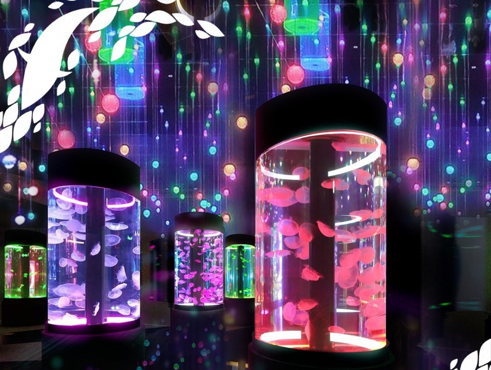 親子好去處2021推介 | 浩海立方探遊館