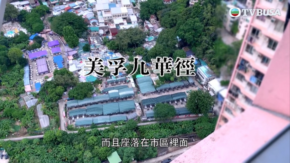 《東張西望》到美孚九華徑2個燒烤場視察