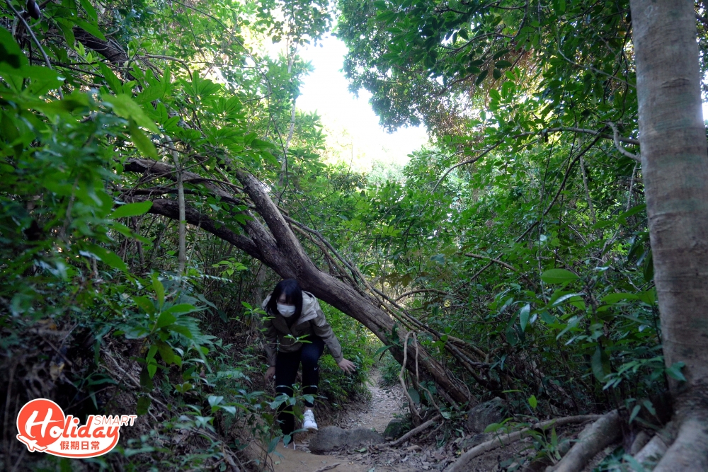 沿途較多樹枝及沙石，走路時要小心！