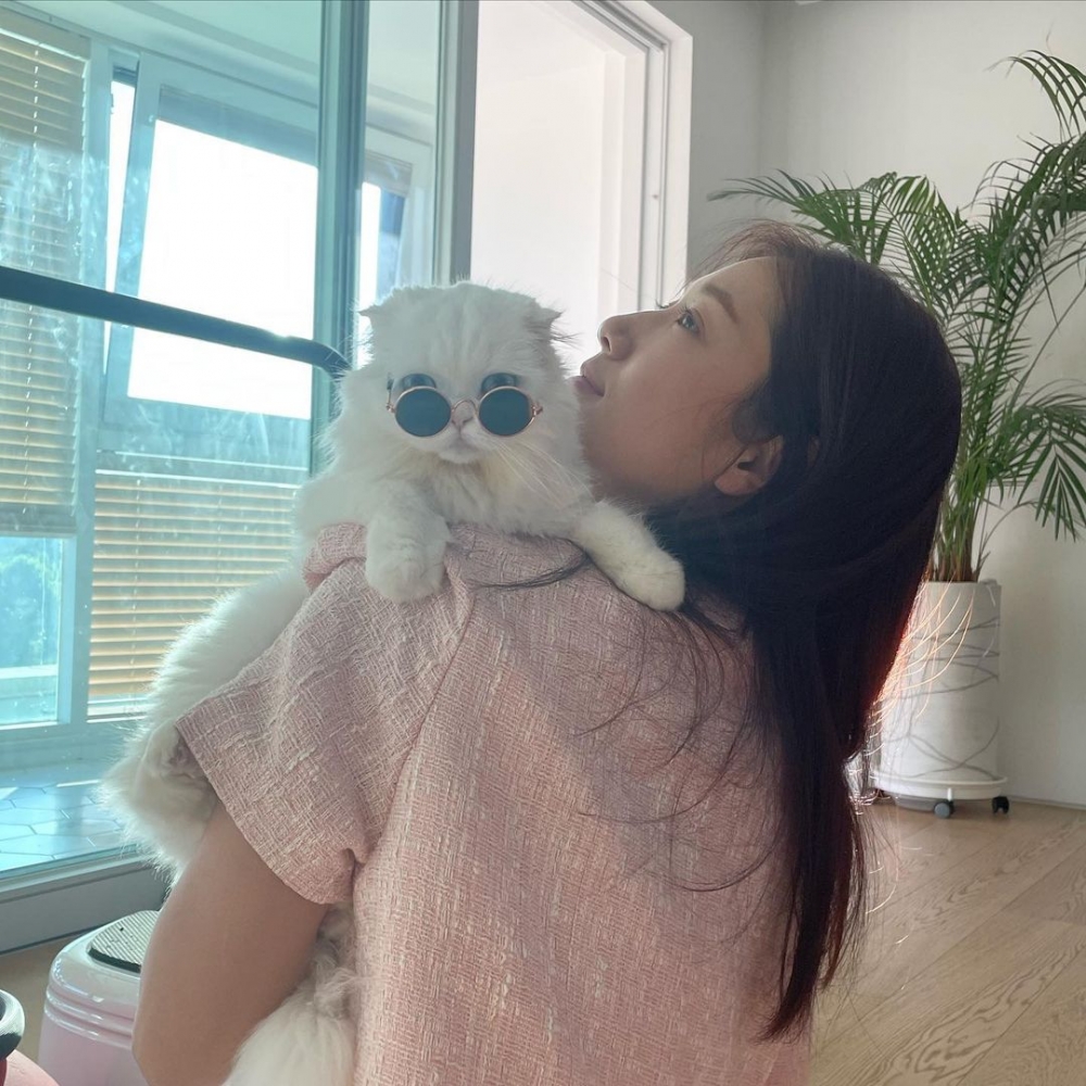 朴信惠同樣是愛貓之人,不時與貓貓一起出鏡。