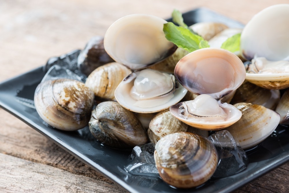 冬季保暖養腎食物推薦 | 蜆能幫助修補受損的肝細胞、補充身體能量及增強免疫力。