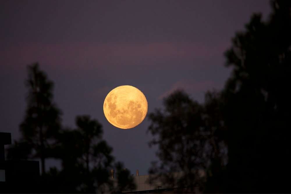今次月偏食將係2021年最後一次月食,錯過咗就要等到2022年11月8號出現嘅月全食先再有得睇喇!