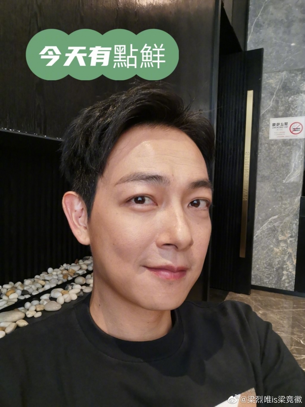 梁競徽2003年出道,於香港發展平平,大多飾演配角角色。