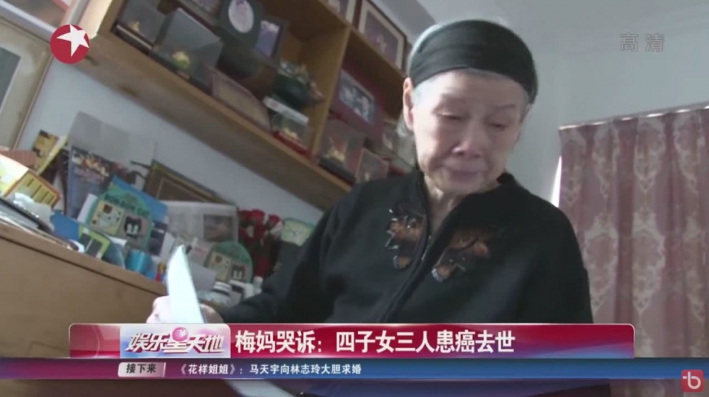 法庭駁回梅媽嘅「遺囑無效」主張,但梅媽未有放棄,繼續喺2010年同2011年上訴,但先後被駁回