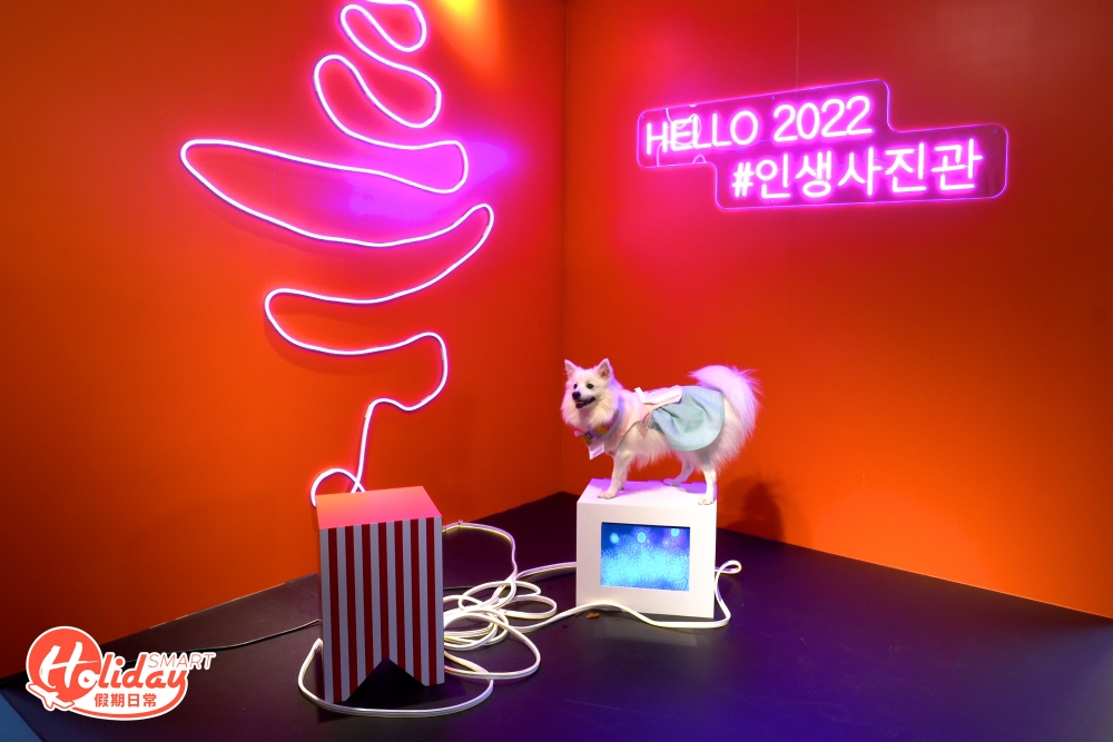「你好,未來!Hello Future」以不同色彩的霓虹燈電線。