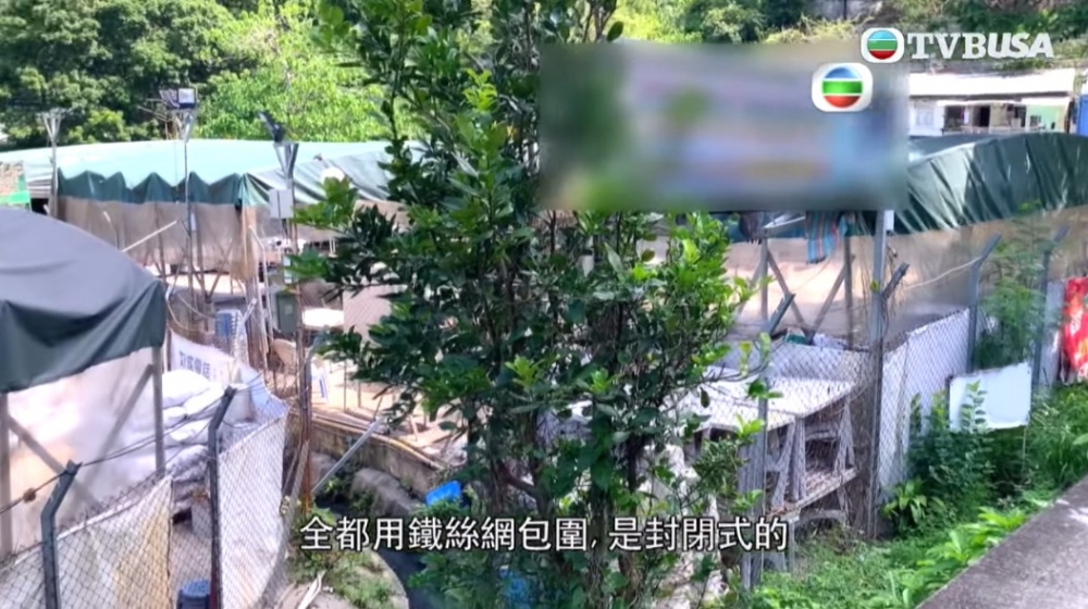 燒烤場被鐵絲包圍,出入口不多,引起消防隱憂