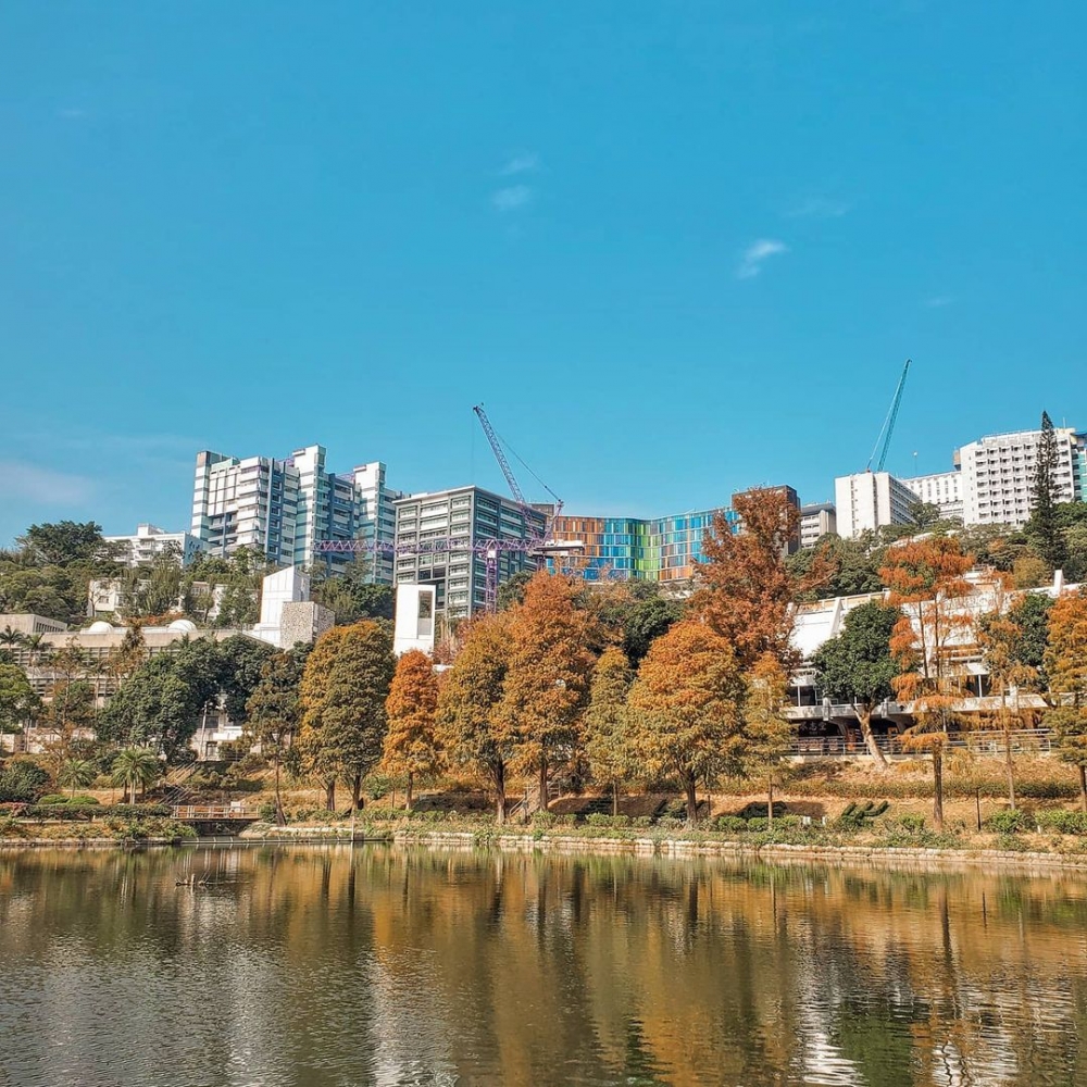 紅葉在湖畔的襯托下,絕美啊!