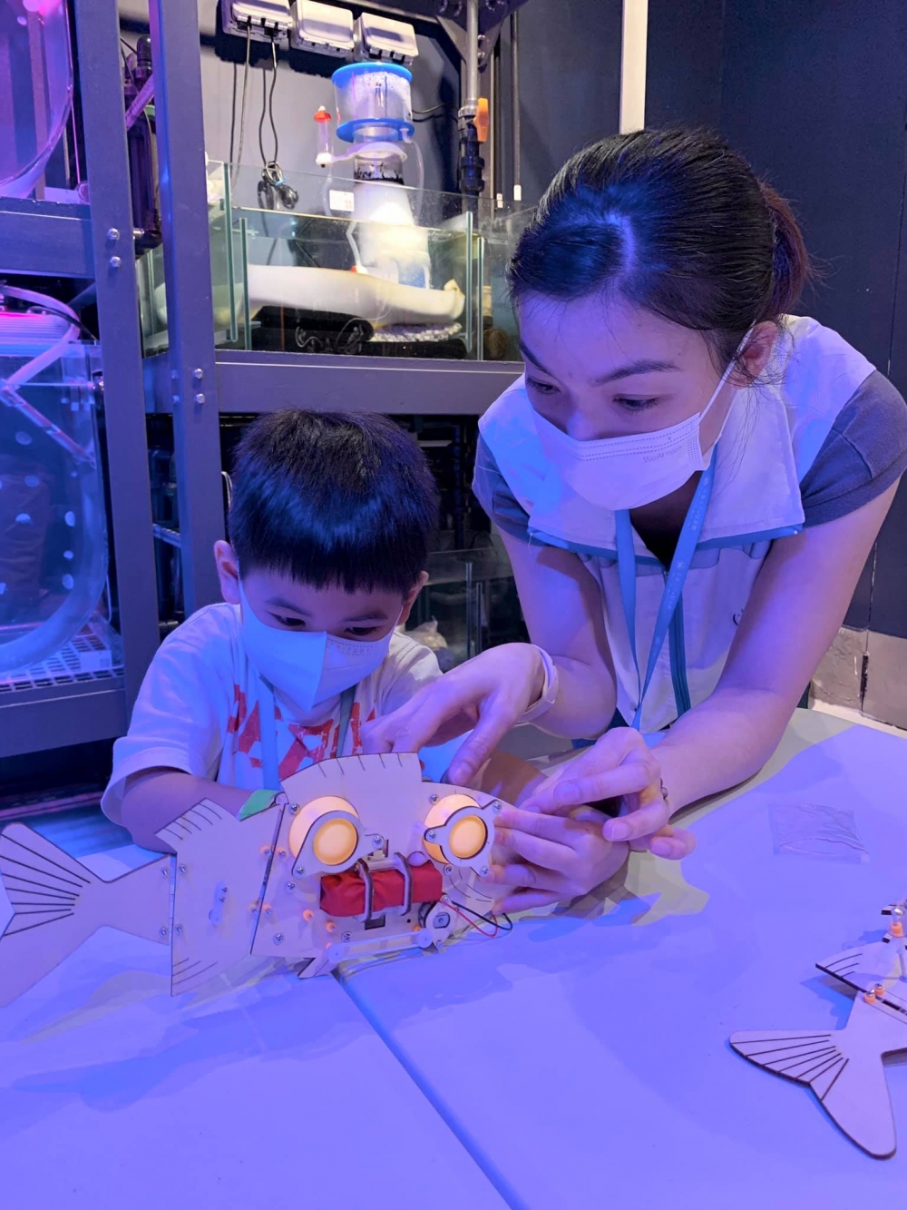 浩海立方·探遊館有全港唯一水母室驗室內的海洋STEM課程,讓小朋友從小培養愛護海洋知識及海洋保育。