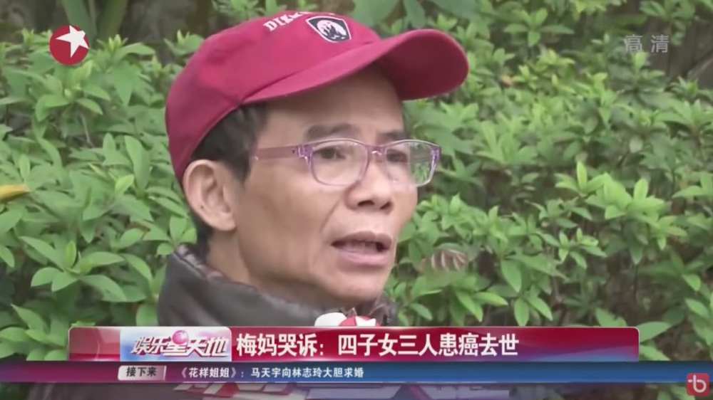 梅姐嘅大哥梅啟明都有入場欣賞電影,但佢就十分不滿電影無梅媽嘅角色。