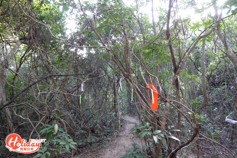 沿著絲帶一路走就會到達目的地！