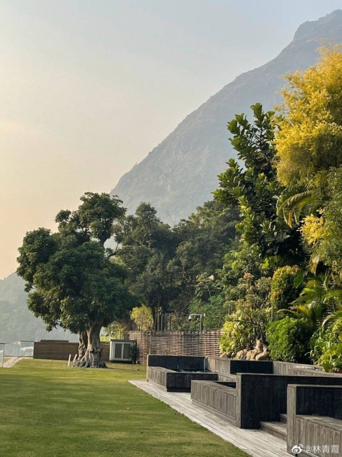 林青霞早前公開其豪宅後院照，環境綠油油好「養眼」