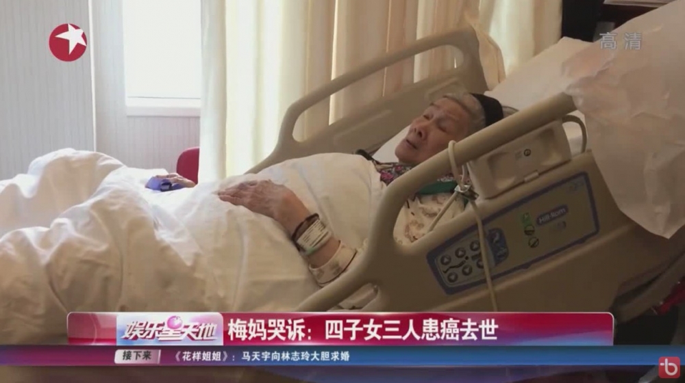 梅媽表示佢一個月要支付房租、水電費$4萬元,加上聘請傭人、司機、買補品等開支,連同養6隻狗、兒子梅啟明夫婦等家人嘅費用等,$12萬根本唔夠用。