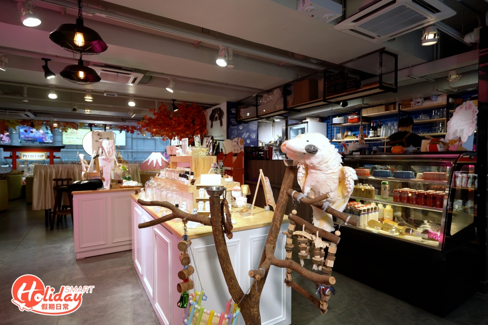 旺角寵物概念店Pet Pet VIP 打造全新人寵共享空間佔地超過1,000呎,設有5大寵物打卡位、玩樂區、餐廳和禮品區等,一次過滿足食買玩3個願望。