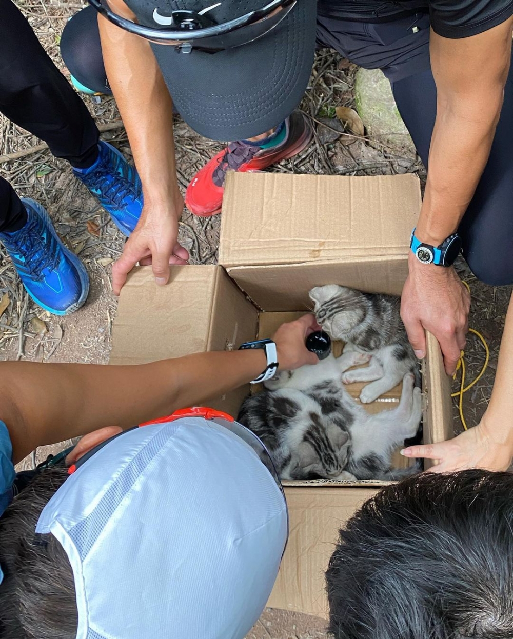 做咗貓奴嘅Isabella亦不時大晒主子嘅相片。