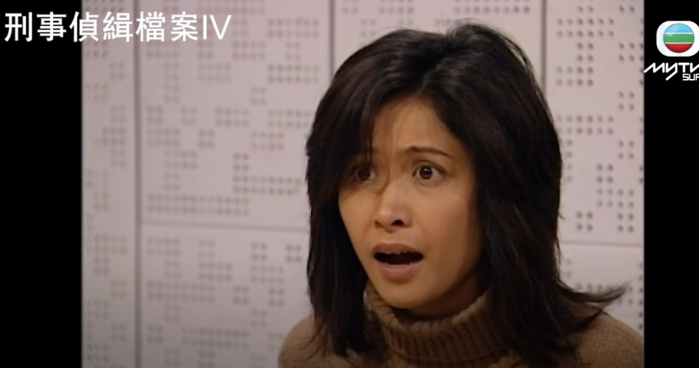 邵美琪曾參與多部TVB經典電視劇。