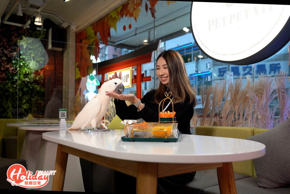 Pet Pet VIP 亦提供鸚鵡鮮食自助餐,可以任食超過20款小食,包括粟米、紅蘿蔔和提子等,讓各位主人可以慢慢餵食。