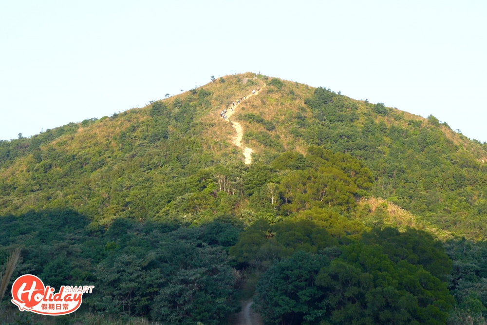 東洋山。