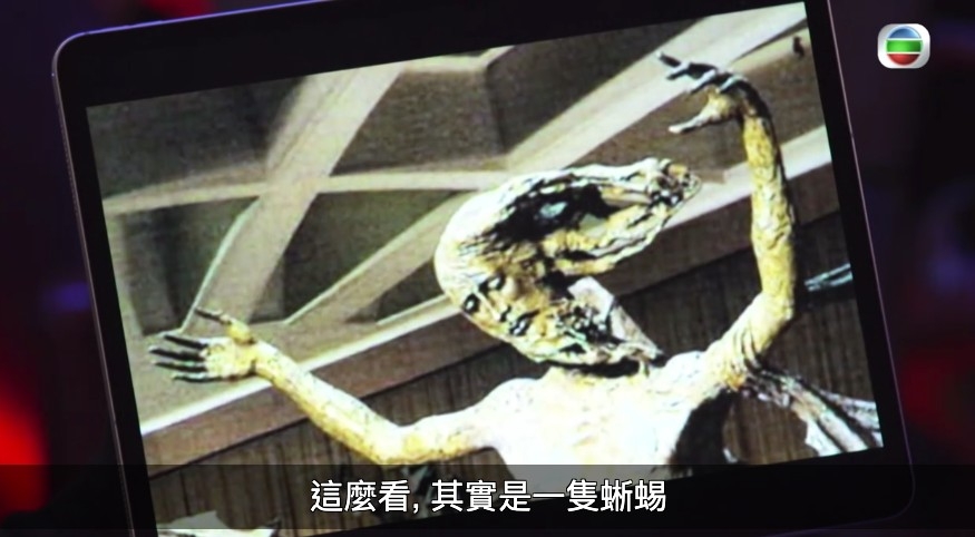 梵蒂岡嘅宗教活動中,背景就出現疑似蜥蜴人嘅雕像!