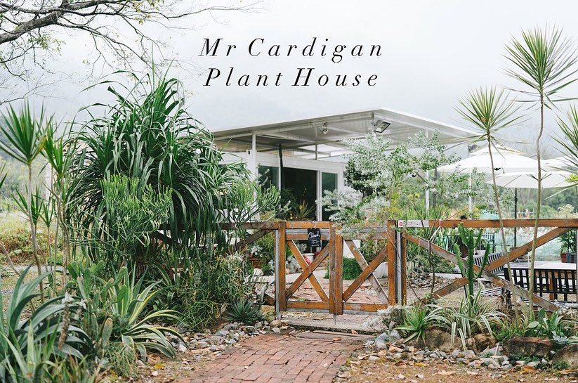 最近Cafe裝修大改風格，化為花卉歐洲小白屋，改用木係枱櫈。