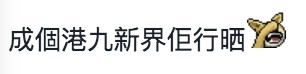 九巴全港一日遊?