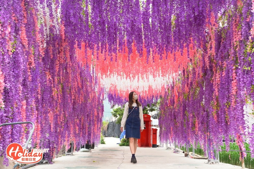 夢幻紫藤花隧道~