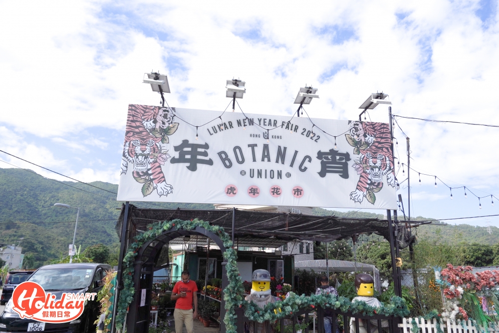 大埔林村三萬呎植物空間挑選年花和年桔。