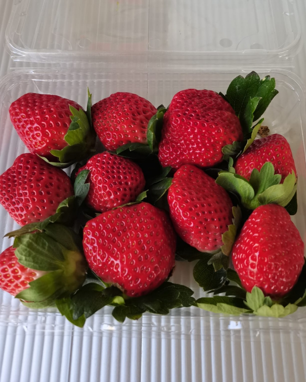 位於元朗的羅氏士多啤梨園，種植士多啤梨已有十多年經驗，場內免費入場，不設最低消費。