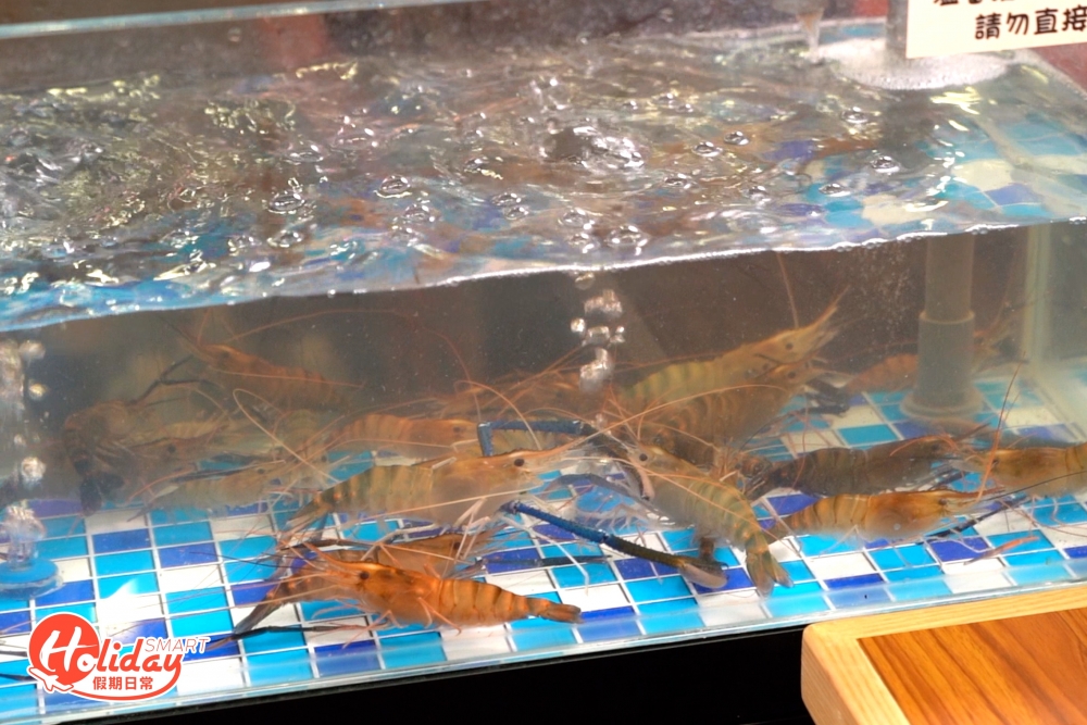 最近元朗新開間流水蝦放題，是元朗區首間流水蝦餐廳，佔地2,600呎，總共有16條蝦缸，每個座位旁有大大個蝦缸，價錢每位只需$268起，食客可自行夾起流水蝦，再放在冰桶凍暈後再燒。