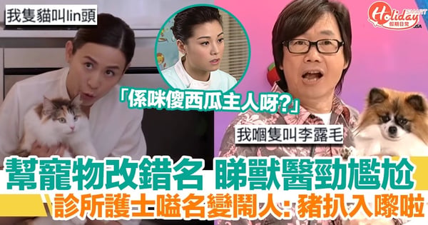 幫寵物改錯名，睇獸醫勁尷尬？！護士嗌名變鬧人：「豬扒到你啦」