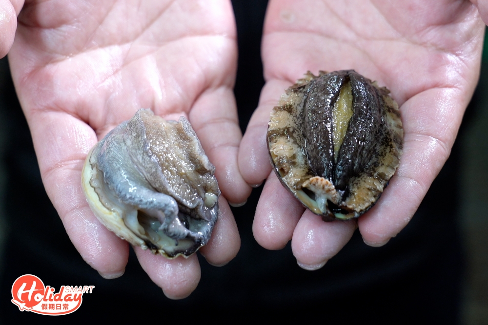 鮑魚分為乾鮑、罐頭鮑和新鮮鮑魚,今次要介紹的是街市買得到新鮮鮑魚,中國、日本、澳洲、南非等地都盛產鮑魚,亦有分很多種類,在街市常見的新鮮鮑魚有兩種,第一款是中國大連鮑,另一款是南非鮑,亦稱為珍珠鮑。