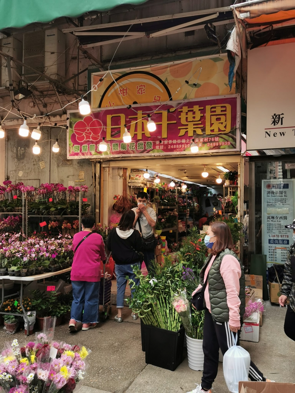 買年花好去處 | 日本千葉園/秋田園