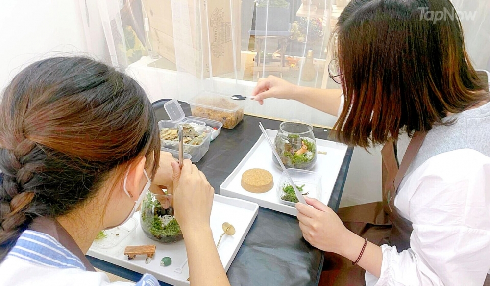 植物放題苔蘚瓶工作坊