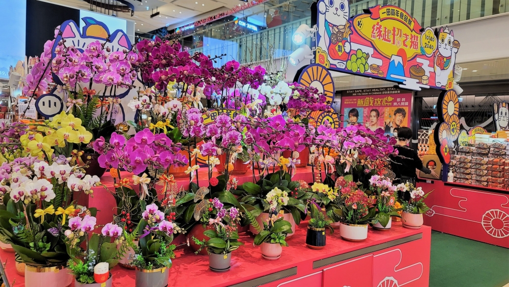 一田賀年食品祭 〈縁起 ‧ 招き貓〉