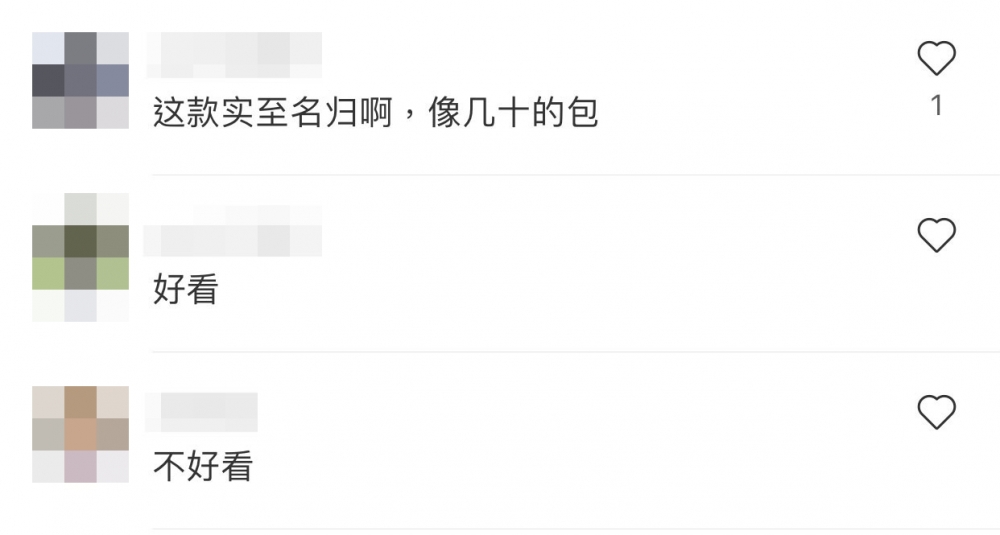 網友直言：「看不出來是愛馬仕」、「像幾十的包」