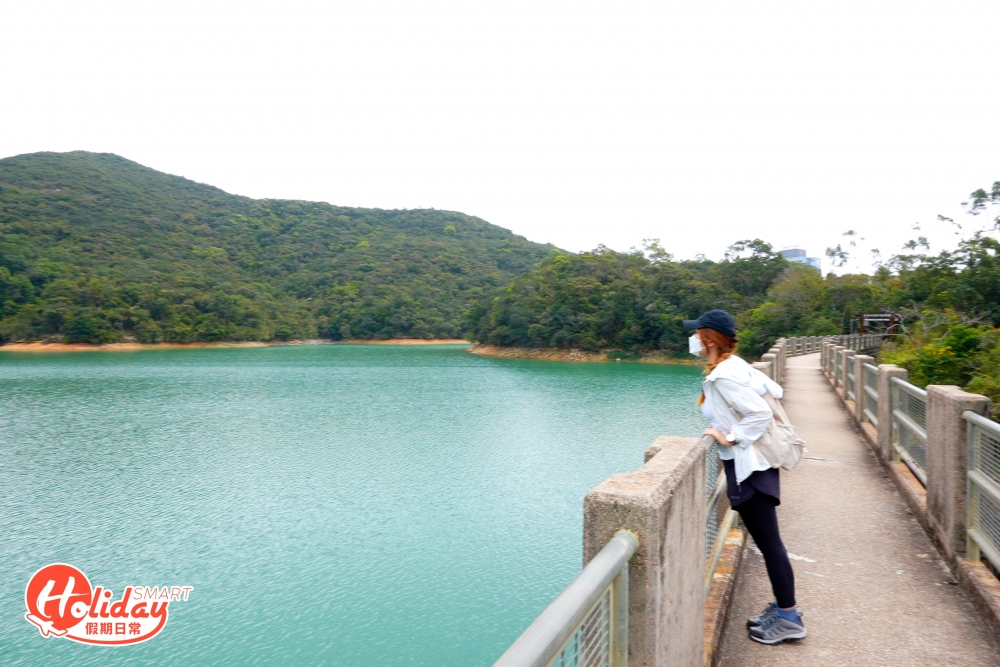 下水塘建於1890年，早期是屬於大成紙廠的私人水塘，後來政府為解決港島西區食水問題，先把水塘收購及改建。