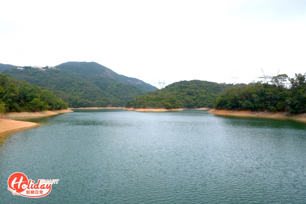 除了可看見水塘景色外。