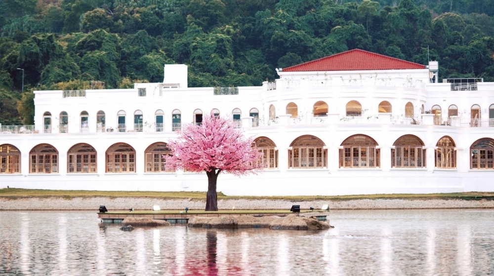 客人於餐廳除了觀望一望無際的湖景,更可欣賞白鶴湖中央的粉紅色櫻花樹。