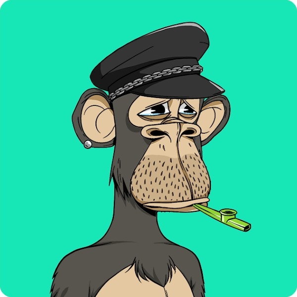 娛樂圈及藝術潮流界興起一股NFT熱潮，不少明星、KOL、甚至素人更因此賺大錢，然而有網民質疑NFT嘅真正價值何在。