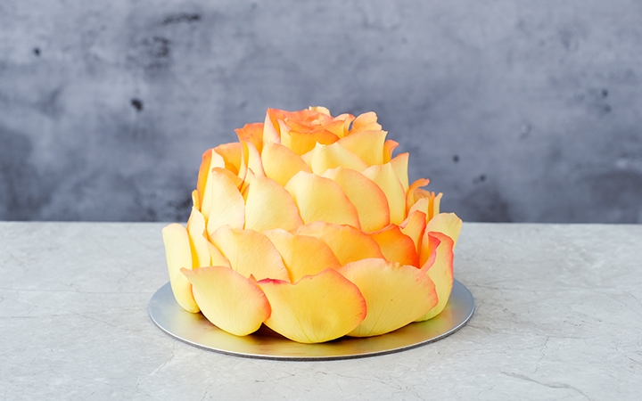 「桃香玫瑰」日本香桃海綿忌廉蛋糕