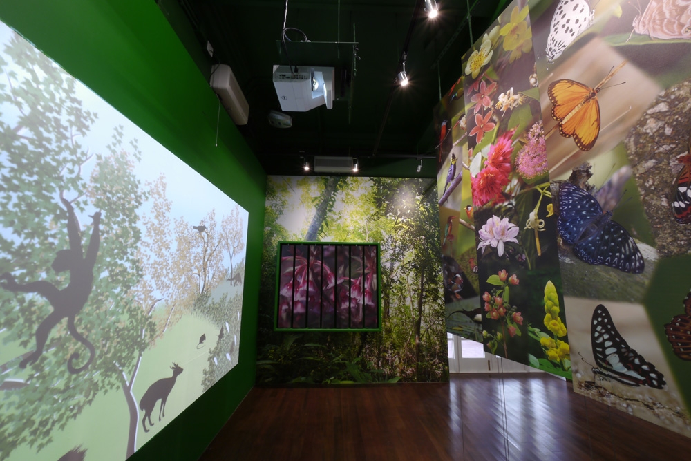 紅屋活化後變成了自然教育中心。中心內設有三個主題展覽廊丶資源室丶活動室和自然園區。