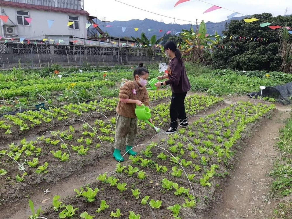為了對抗被社會淘汰，且不想浪費每塊土地，於是潘小姐決定限時開放果園，推出田園導賞和「小農夫體驗工作坊」等活動，以出租農地方法，讓大人和小朋友做假期農夫，體驗農夫的辛勞。
